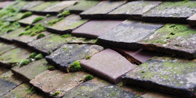 Bringsty roof repair costs